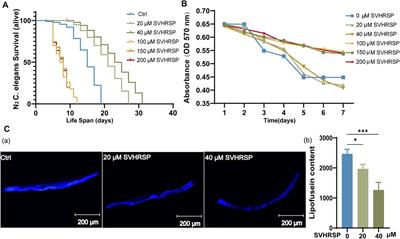 Scorpion Venom Heat–Resistant Synthesized Peptide Increases Stress Resistance and Extends the Lifespan of Caenorhabditis elegans via the Insulin/IGF-1-Like Signal Pathway